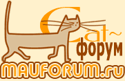 cat forum